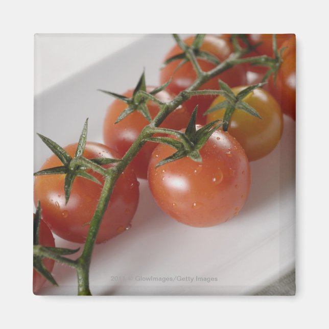 Close-up of tomatoes on a tray magnet (Front)