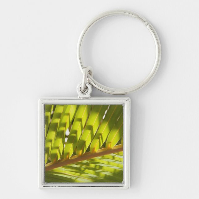 Close up of tropical palm frond keychain (Front)