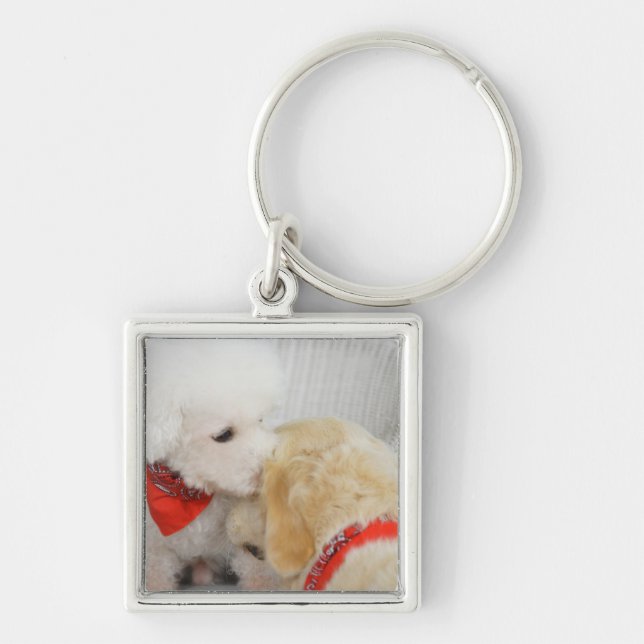 Close-up of two dogs keychain (Front)
