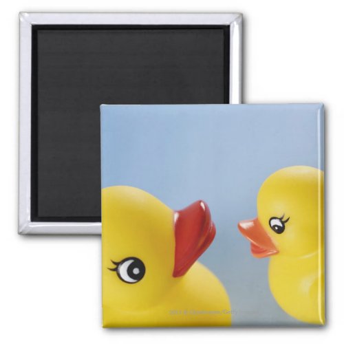 Close_up of two rubber ducks magnet
