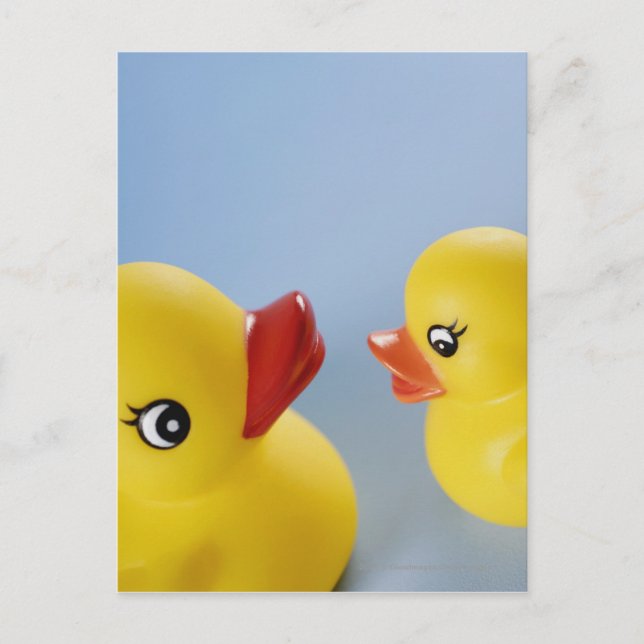 Close-up of two rubber ducks postcard (Front)
