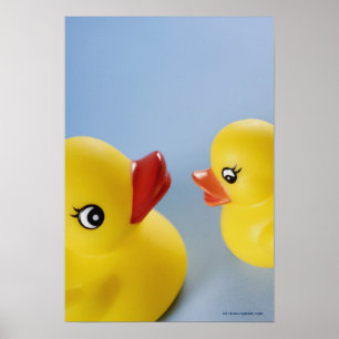 Close-up of two rubber ducks poster