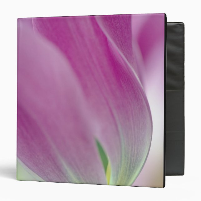 Close-up of underside of tulip flower, 2 binder (Front/Inside)
