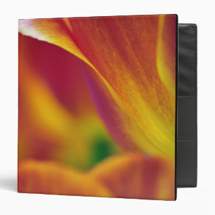 Close-up of underside of tulip flower, 4 3 ring binder
