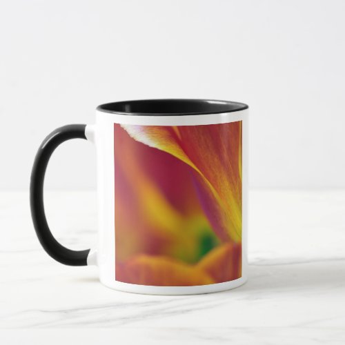 Close_up of underside of tulip flower 4 mug