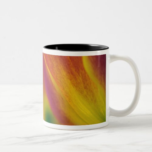 Close_up of underside of tulip flower 4 Two_Tone coffee mug