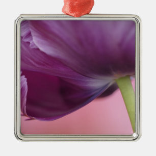 Close-up of underside of tulip flower, Kuekenhof Metal Ornament