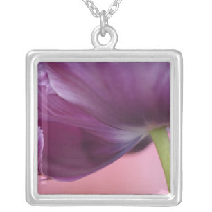 Close-up of underside of tulip flower, Kuekenhof Silver Plated Necklace