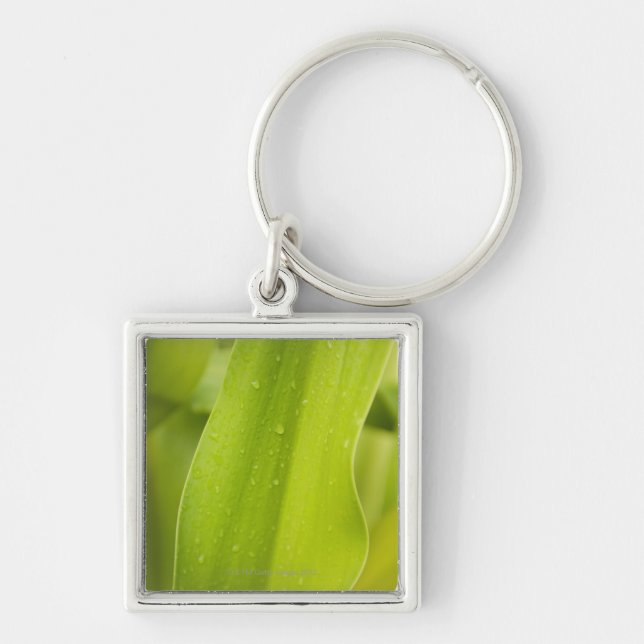 Close up of wet tropical leaf keychain (Front)