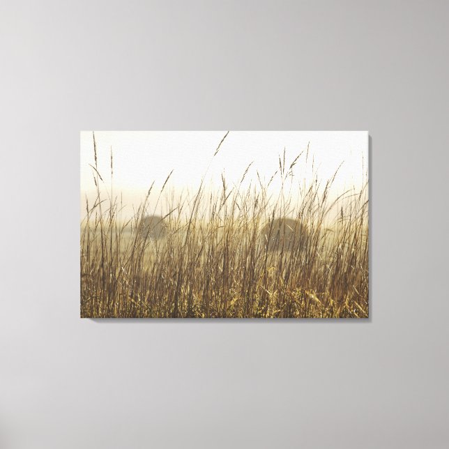 Close up of Wheat Photography Canvas Print (Front)