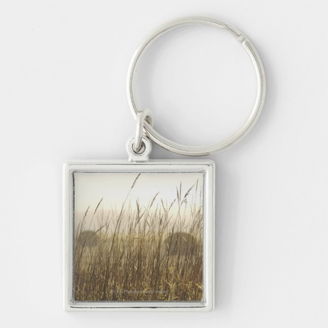 Close up of Wheat Photography Keychain (Front)