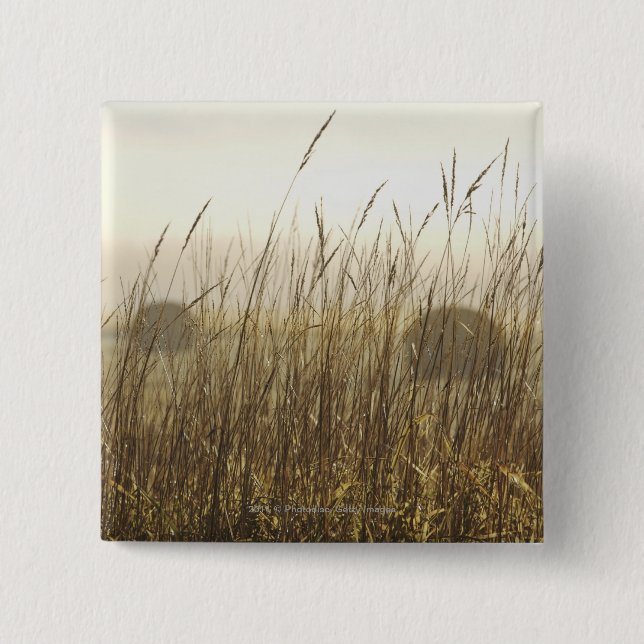 Close up of Wheat Photography Pinback Button (Front)