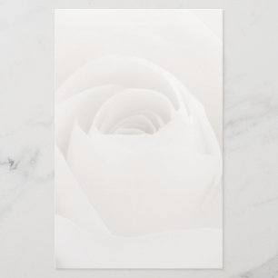 Close up of White Rose Petals Stationery
