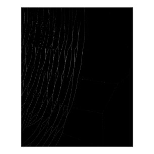 Close-up of White Web with Black Poster