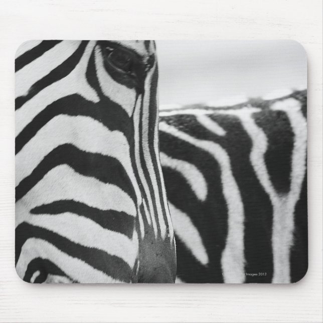 Close-up of zebra face and shoulder mouse pad (Front)