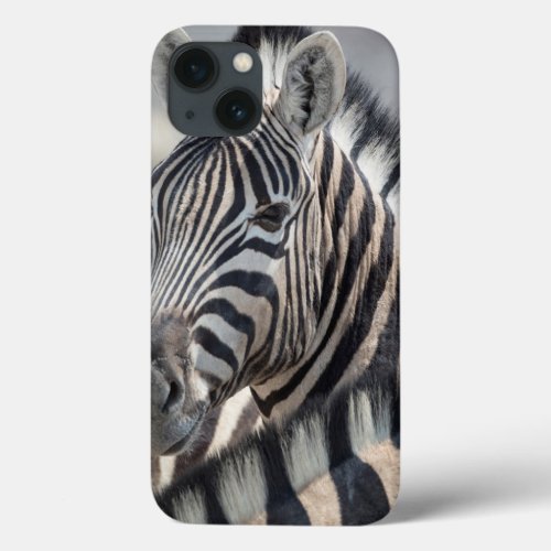 Close_up of zebra head between two other zebras iPhone 13 case