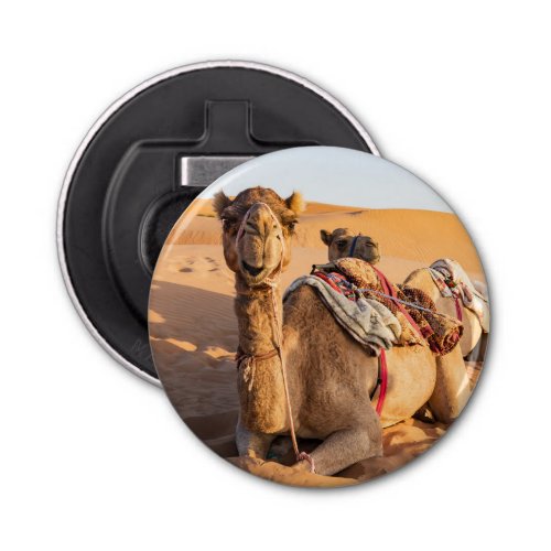 Close_up on Camel in Oman desert Bottle Opener
