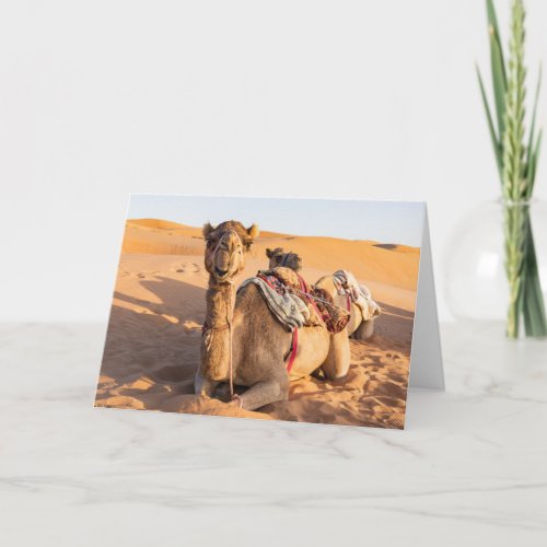Close_up on Camel in Oman Desert Card