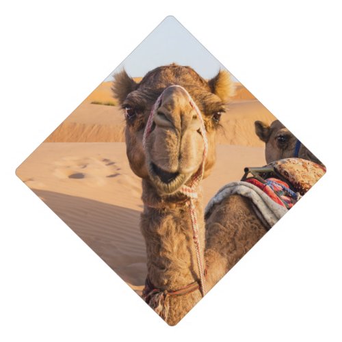 Close_up on Camel in Oman desert Graduation Cap Topper