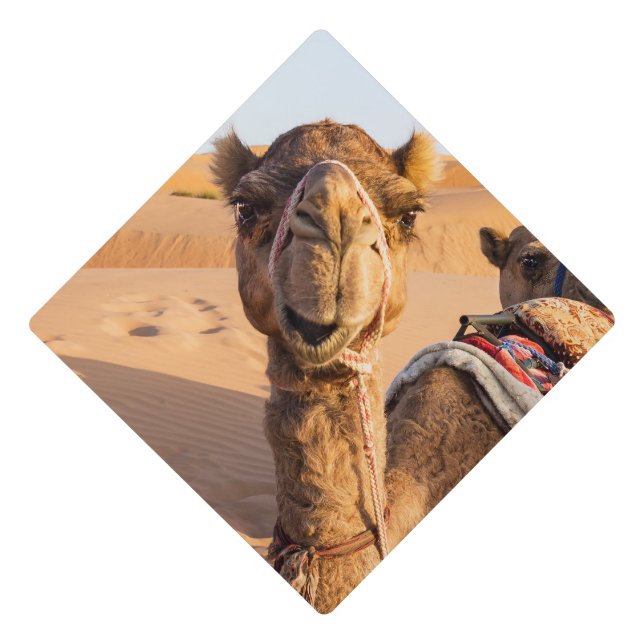 Close-up on Camel in Oman desert Graduation Cap Topper (Front)