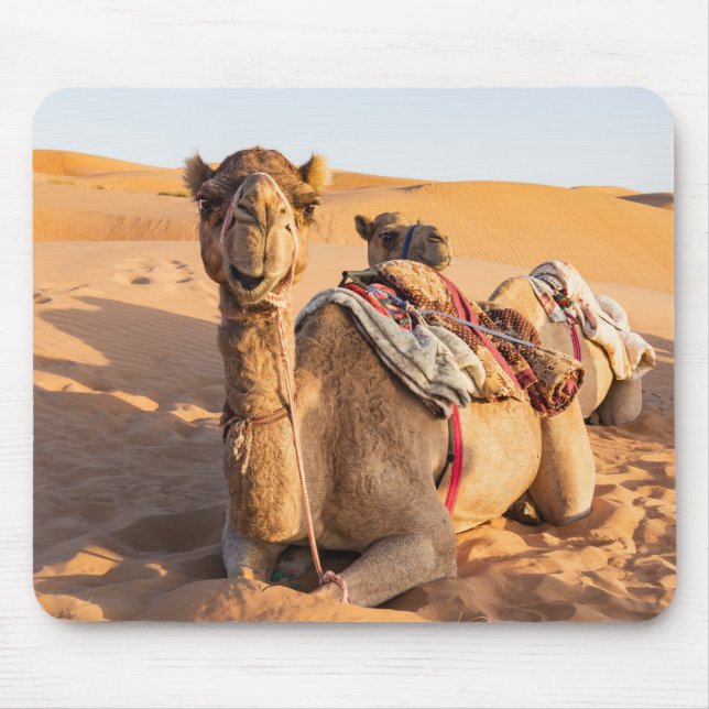 Close-up on Camel in Oman desert Mouse Pad (Front)