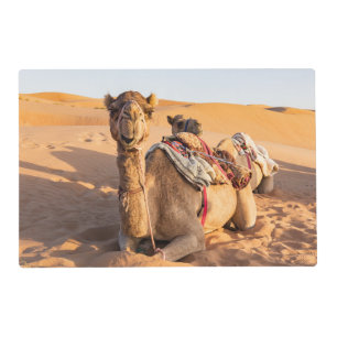 Close-up on Camel in Oman desert Placemat