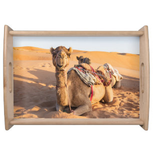 Close-up on Camel in Oman desert Serving Tray
