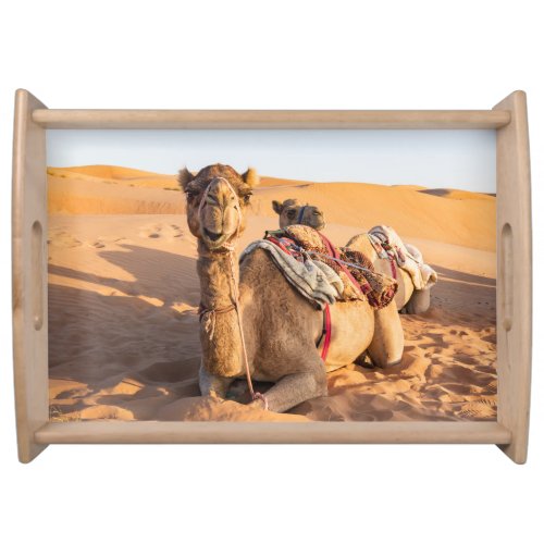Close_up on Camel in Oman desert Serving Tray