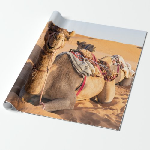 Close_up on Camel in Oman desert Wrapping Paper