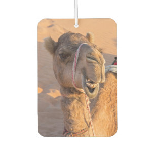 Close-up on funny camel head in Oman Wahiba desert Air Freshener