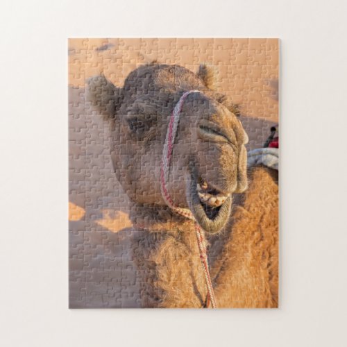 Close_up on funny camel head in Oman Wahiba desert Jigsaw Puzzle
