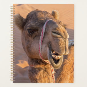 Close-up on funny camel head in Oman Wahiba desert Planner