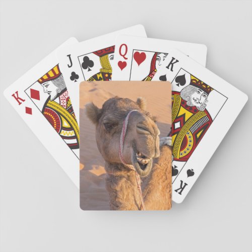 Close_up on funny camel head in Oman Wahiba desert Playing Cards