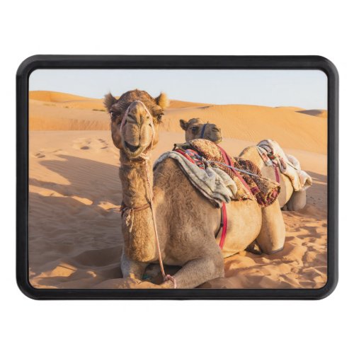Close_up on funny camel in Oman Wahiba desert Hitch Cover