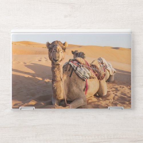 Close_up on funny camel in Oman Wahiba desert HP Laptop Skin