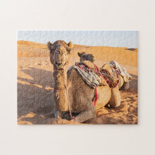 Close_up on funny camel in Oman Wahiba desert Jigsaw Puzzle