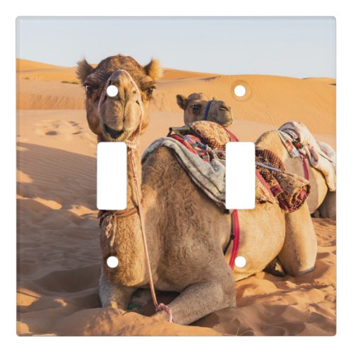 Close_up on funny camel in Oman Wahiba desert Light Switch Cover