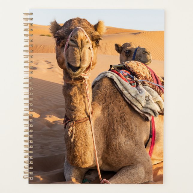 Close-up on funny camel in Oman Wahiba desert Planner (Front)