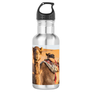 Close-up on funny camel in Oman Wahiba desert Stainless Steel Water Bottle