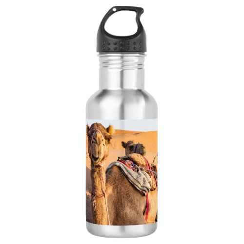 Close_up on funny camel in Oman Wahiba desert Stainless Steel Water Bottle