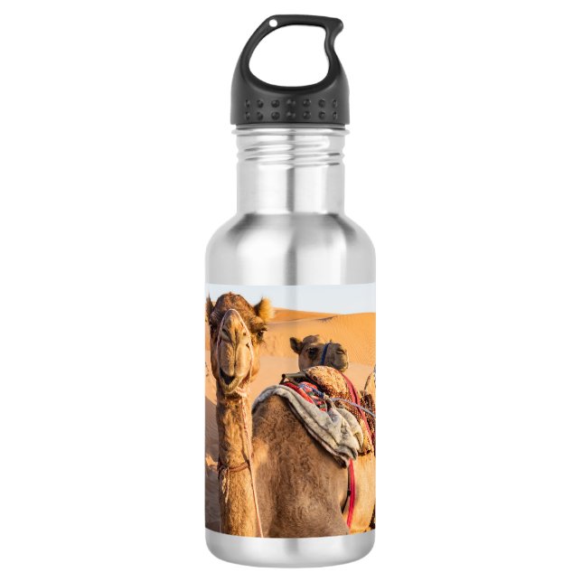 Close-up on funny camel in Oman Wahiba desert Stainless Steel Water Bottle (Front)