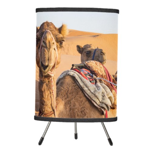 Close_up on funny camel in Oman Wahiba desert Tripod Lamp