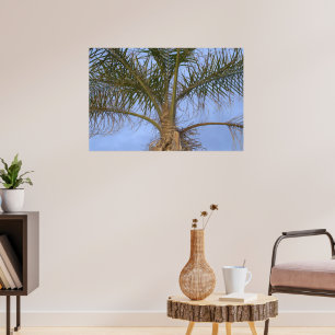 Close-up Palm Tree Blue Sky Poster