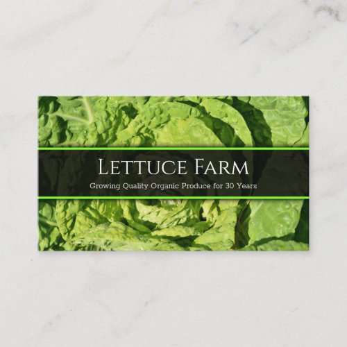Close up Photo of a Green Lettuce _ Business Card