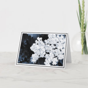 Close-up Photograph of White Viburnum Flowers Card