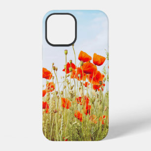 Close up poppies on field. Wild flowers in springt iPhone 12 Case