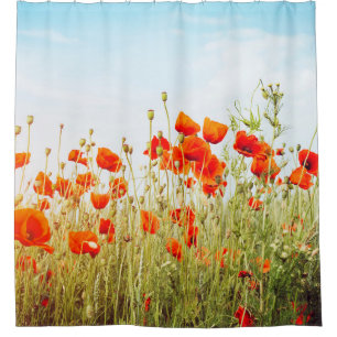 Close up poppies on field. Wild flowers in springt Shower Curtain