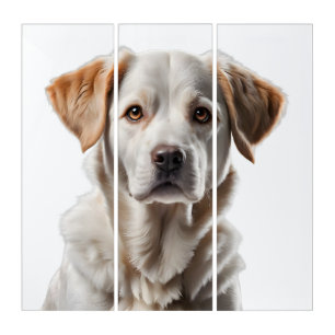 Close-Up Portrait of a Sweet-Faced Dog Triptych