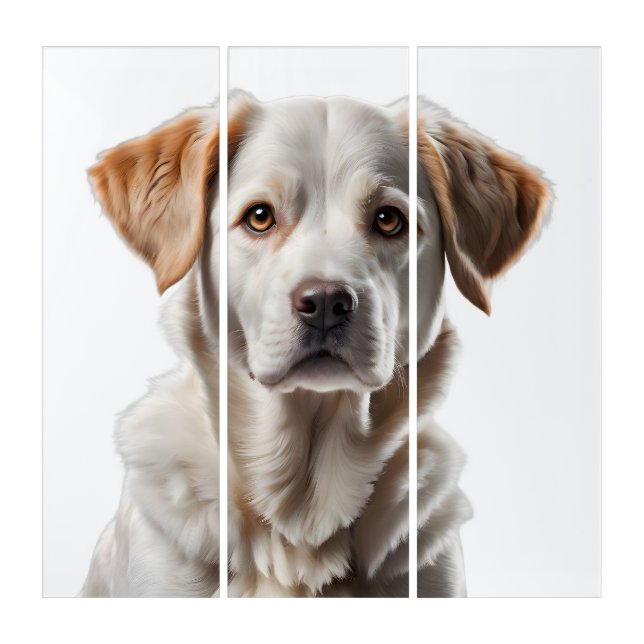 Close-Up Portrait of a Sweet-Faced Dog Triptych (Front)