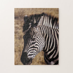 Close-up portrait of a Zebra - Zimbabwe, Africa Jigsaw Puzzle